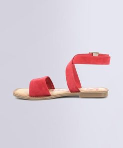 Ordercraze.shop45fb5c352c 3