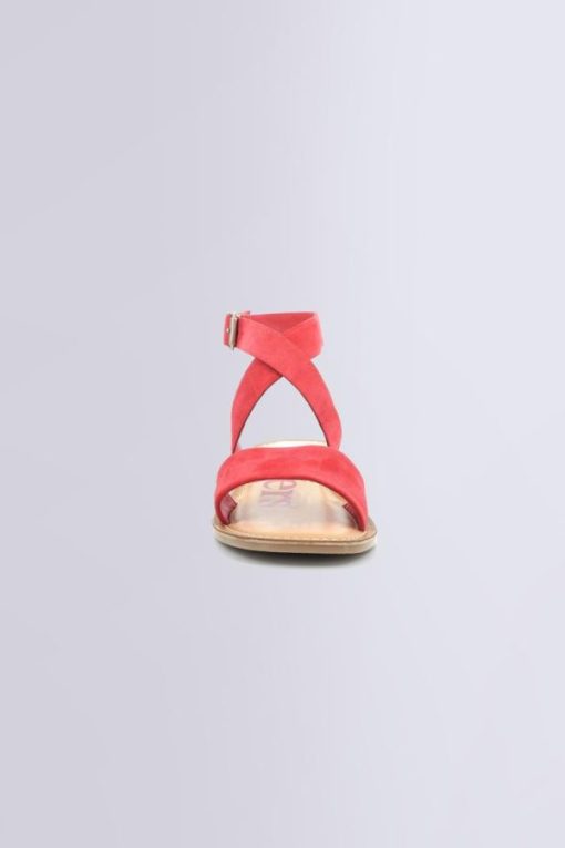 Ordercraze.shop45fb5c352c 4
