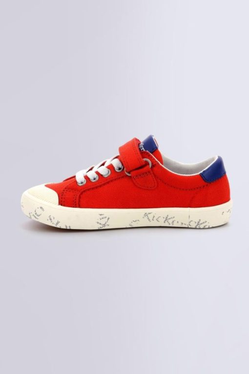Ordercraze.shop47cea627b5 3