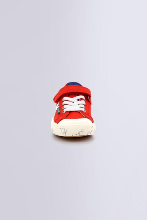 Ordercraze.shop47cea627b5 4