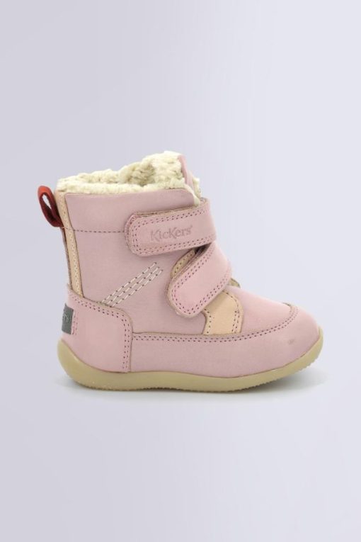 Ordercraze.shop485a95d445 2