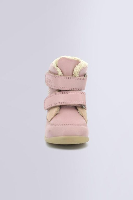 Ordercraze.shop485a95d445 4
