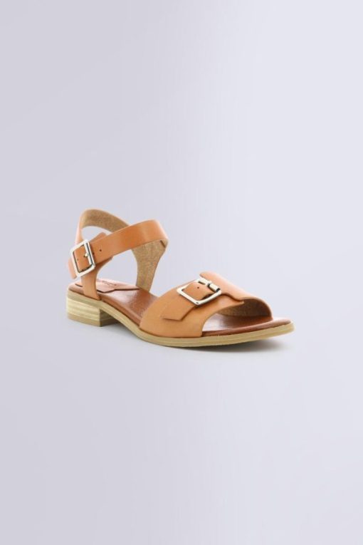 Ordercraze.shop4a69262cae 1