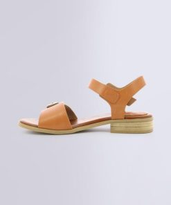 Ordercraze.shop4a69262cae 3