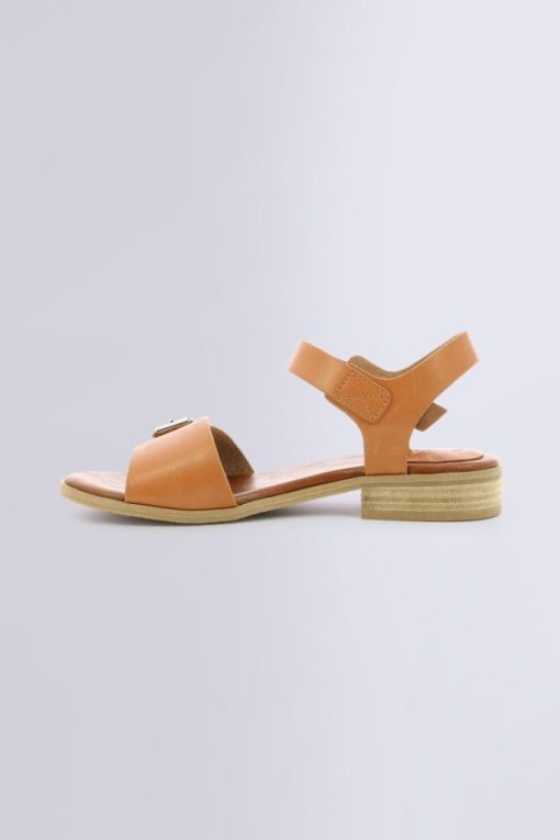 Ordercraze.shop4a69262cae 3