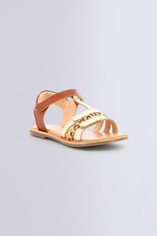 Ordercraze.shop50220b242f 1