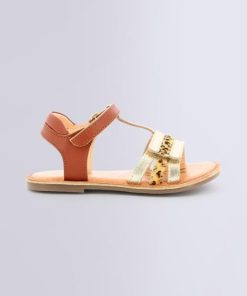 Ordercraze.shop50220b242f 2