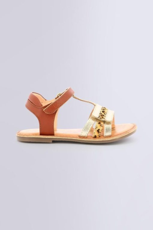 Ordercraze.shop50220b242f 2