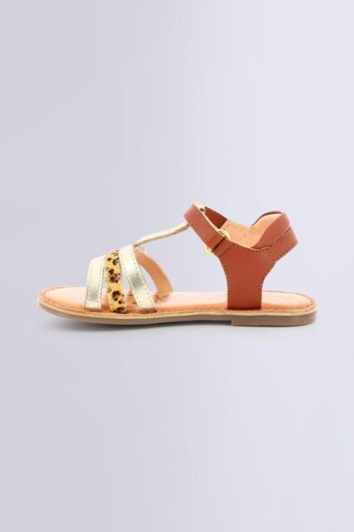 Ordercraze.shop50220b242f 3