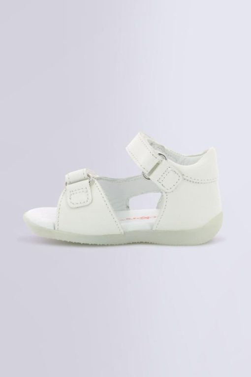 Ordercraze.shop52c755c9ad 3