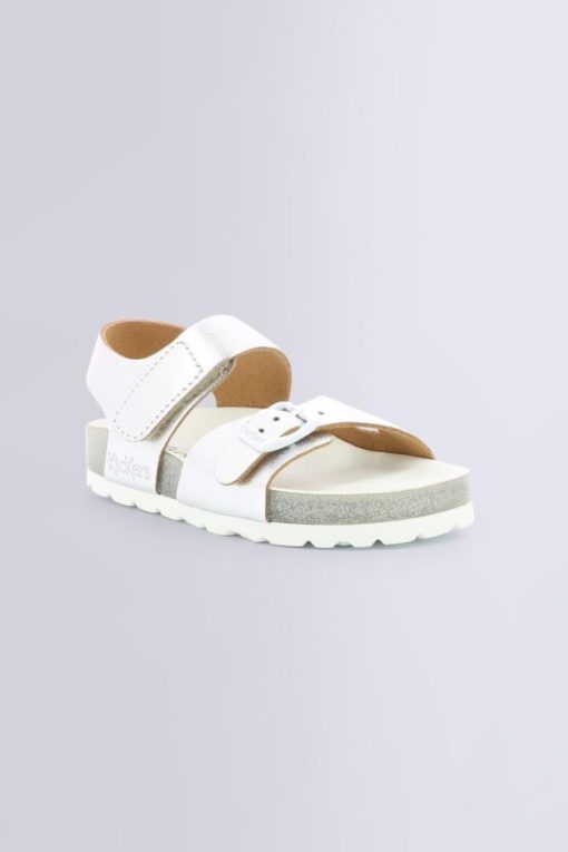 Ordercraze.shop534d899ed7 1