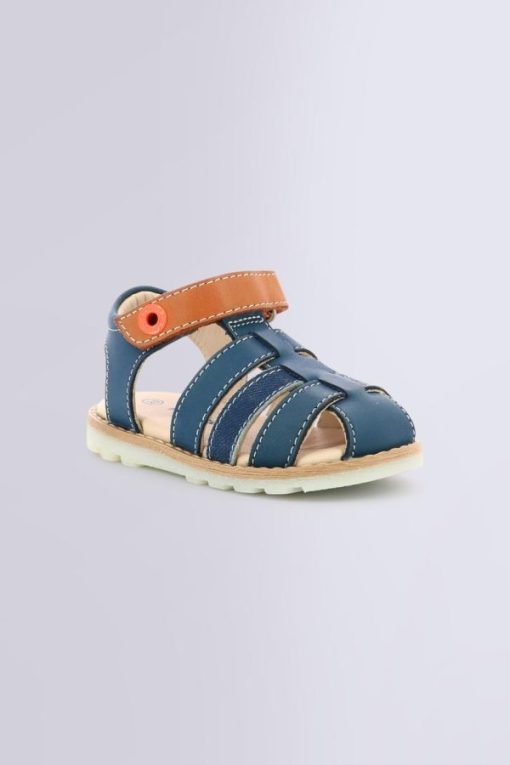 Ordercraze.shop558aa748e2 1