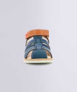 Ordercraze.shop558aa748e2 4