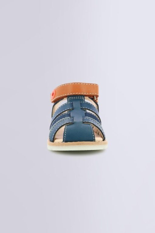 Ordercraze.shop558aa748e2 4