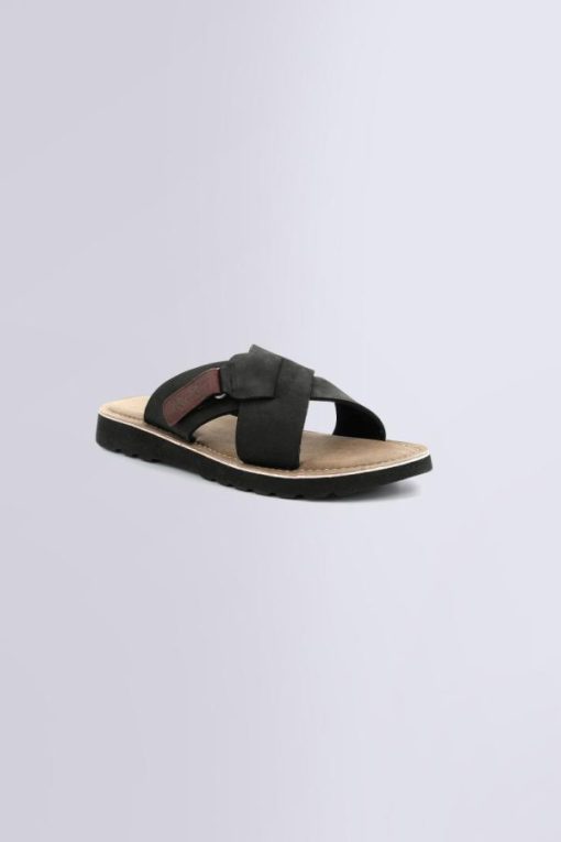 Ordercraze.shop577ae9627a 1