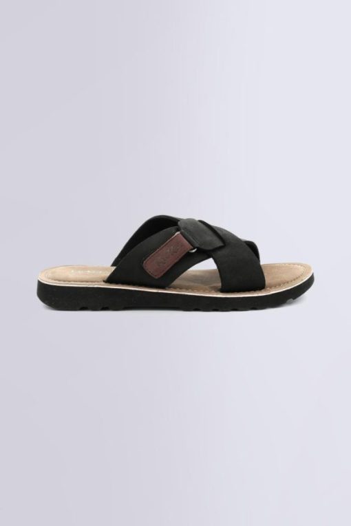 Ordercraze.shop577ae9627a 2