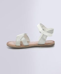 Ordercraze.shop58f573cf68 3