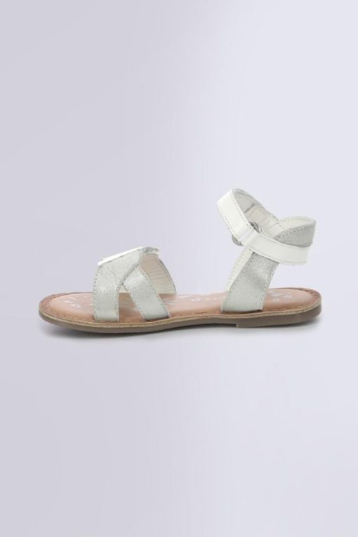 Ordercraze.shop58f573cf68 3