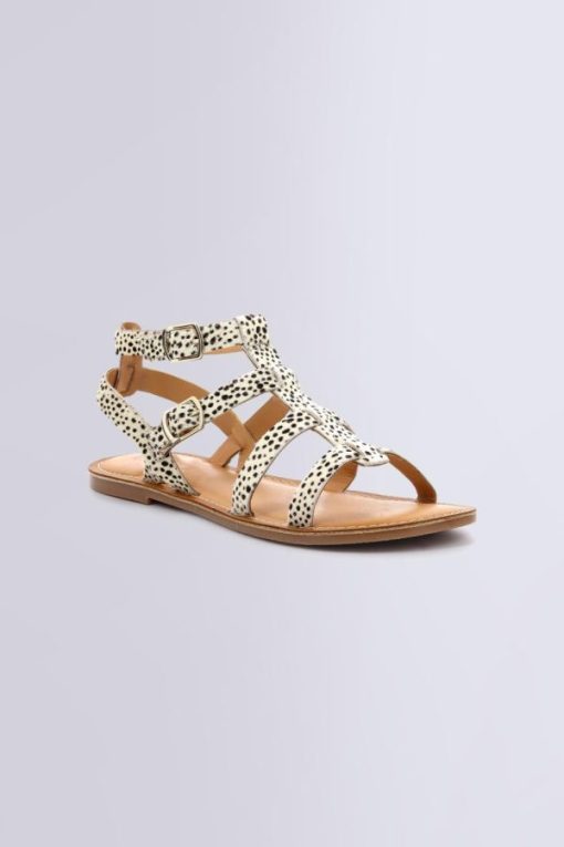 Ordercraze.shop5a23755be9 1