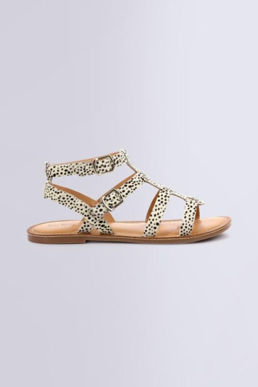 Ordercraze.shop5a23755be9 2