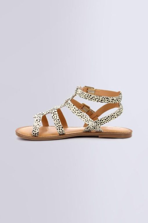 Ordercraze.shop5a23755be9 3