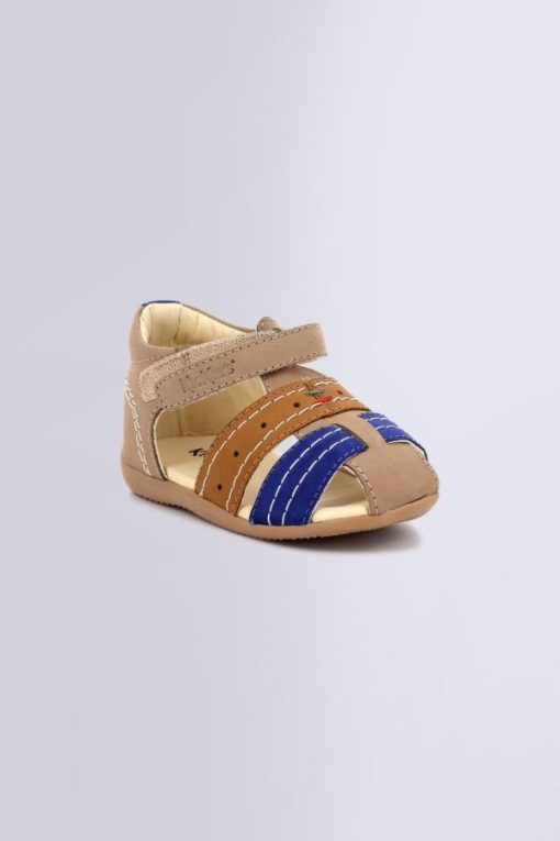 Ordercraze.shop5b3513dfdd 1