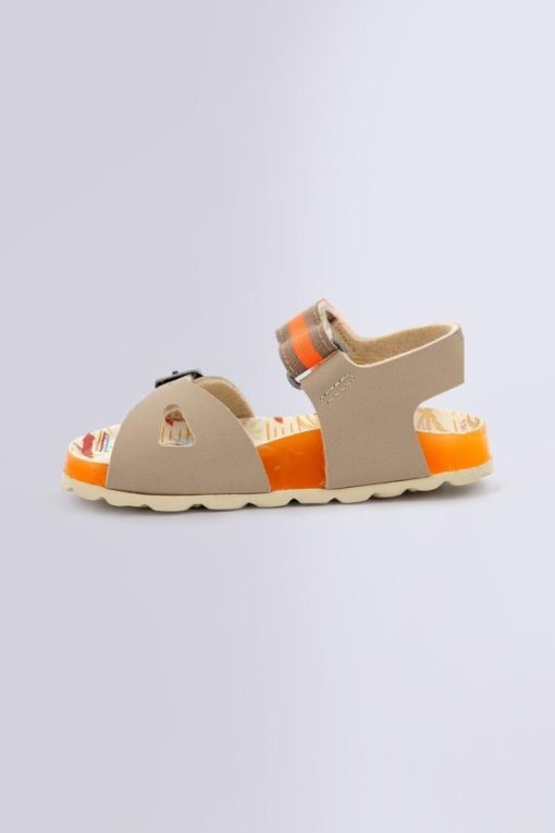 Ordercraze.shop5dc1de96c1 3