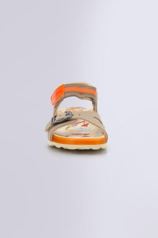 Ordercraze.shop5dc1de96c1 4