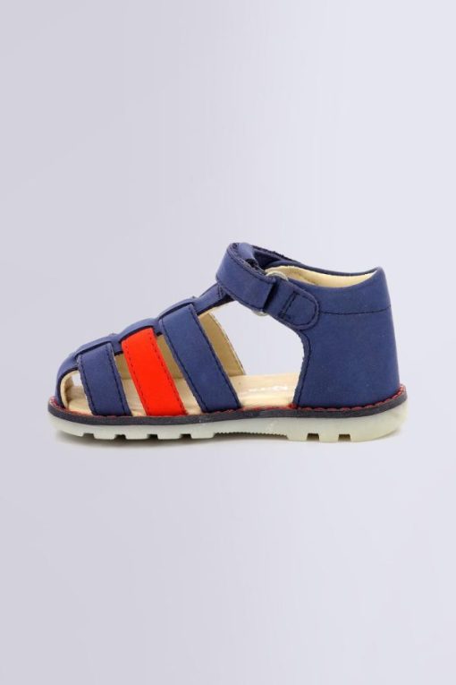 Ordercraze.shop5e0bc4481a 3