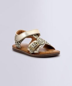 Ordercraze.shop6030c8eaf9 1