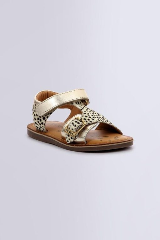Ordercraze.shop6030c8eaf9 1
