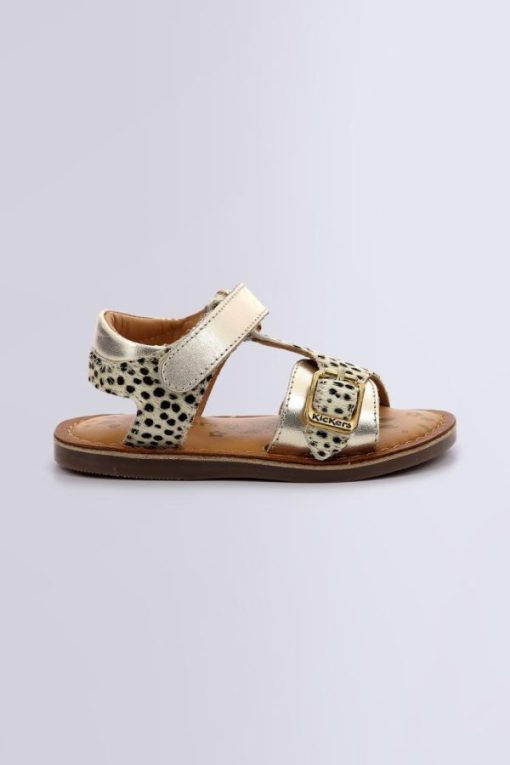 Ordercraze.shop6030c8eaf9 2