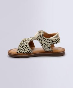 Ordercraze.shop6030c8eaf9 3