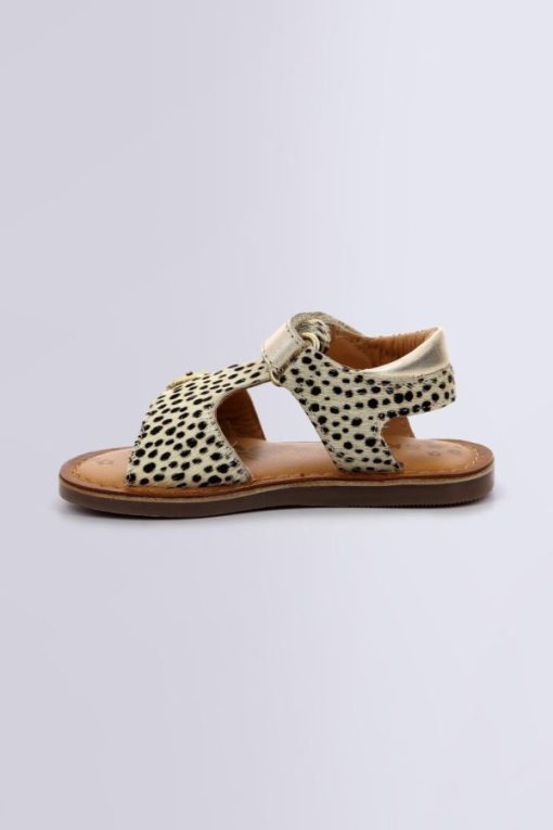 Ordercraze.shop6030c8eaf9 3