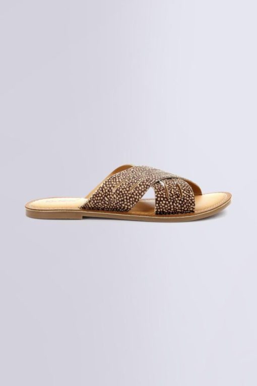 Ordercraze.shop63f7d9c276 2