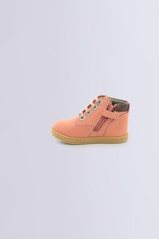 Ordercraze.shop6407d08a24 3