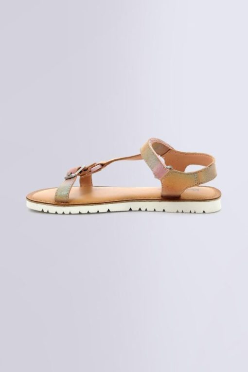 Ordercraze.shop6580a2e416 3