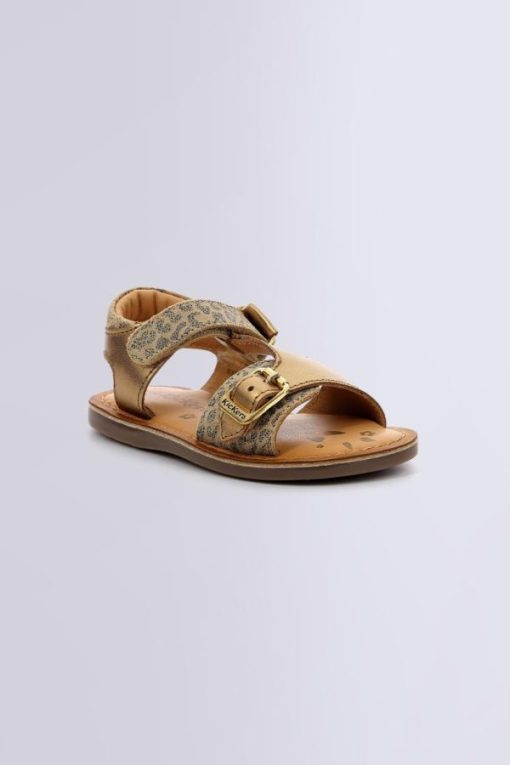 Ordercraze.shop6e7ea59831 1