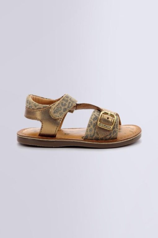 Ordercraze.shop6e7ea59831 2