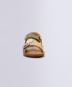 Ordercraze.shop6e7ea59831 4