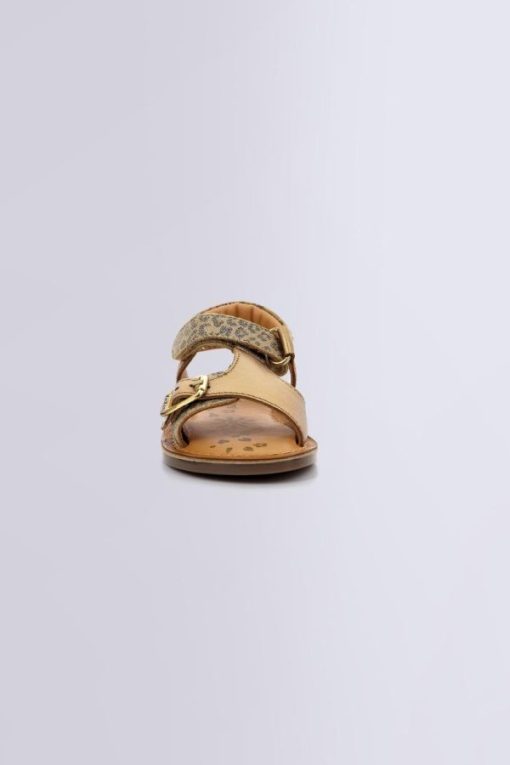 Ordercraze.shop6e7ea59831 4