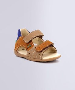 Ordercraze.shop701353bdc7 1
