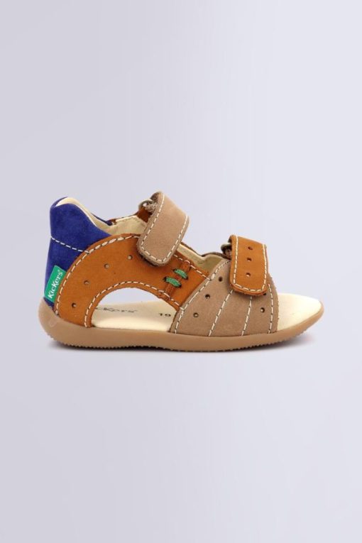 Ordercraze.shop701353bdc7 2