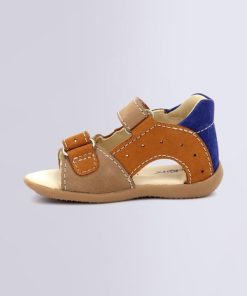 Ordercraze.shop701353bdc7 3