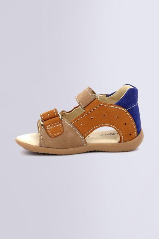 Ordercraze.shop701353bdc7 3