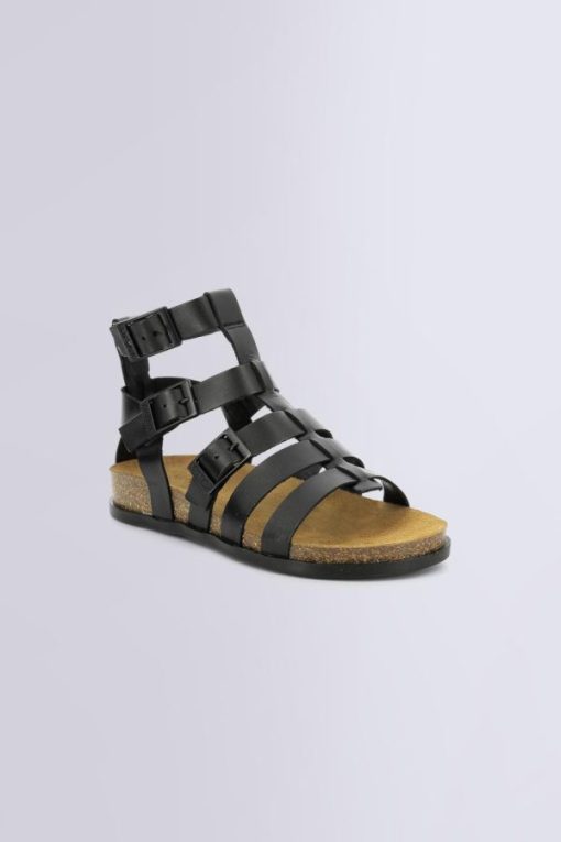 Ordercraze.shop7234124edb 1