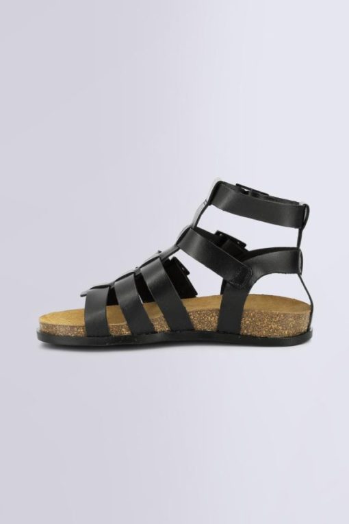 Ordercraze.shop7234124edb 3