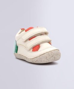 Ordercraze.shop74202415e6 1