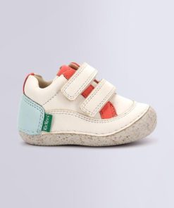 Ordercraze.shop74202415e6 2