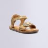 Ordercraze.shop74d7e56a3a 1